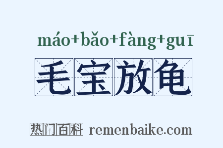 毛宝放龟是什么意思的图片